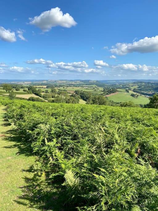 The Mill Stylish Rural Apartment With Beautiful Views Welsh Newton Common Exteriér fotografie