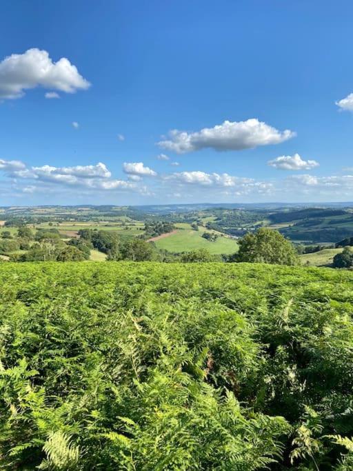 The Mill Stylish Rural Apartment With Beautiful Views Welsh Newton Common Exteriér fotografie